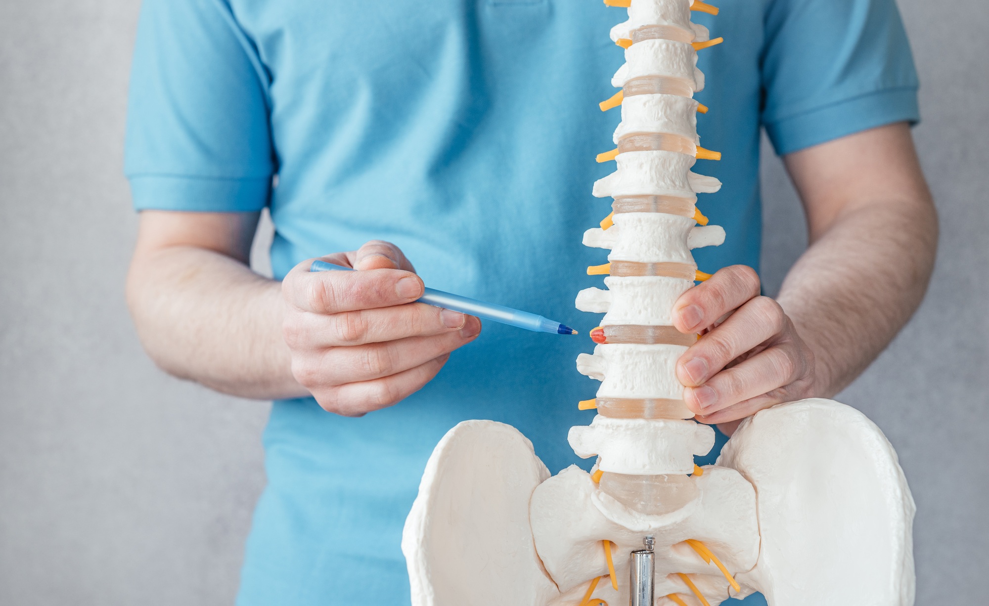 Male doctor's hand pointing at intervertebral hernia on skeleton spine model close-up